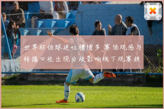 世界杯伪球迷吐槽增多 赛场观感与转播口径出现分歧影响线下观赛秩序