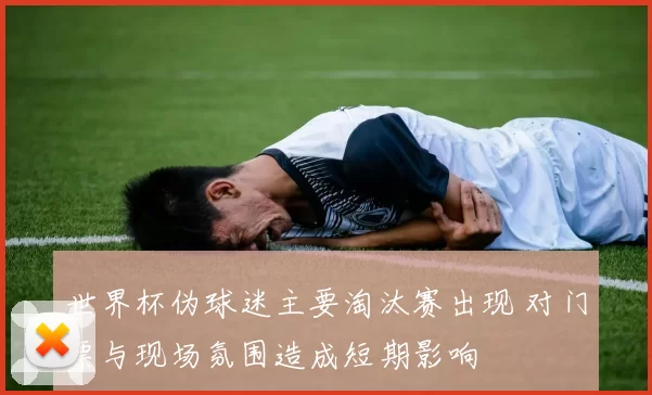 世界杯伪球迷主要淘汰赛出现 对门票与现场氛围造成短期影响