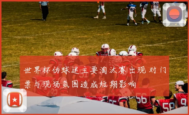 世界杯伪球迷主要淘汰赛出现 对门票与现场氛围造成短期影响