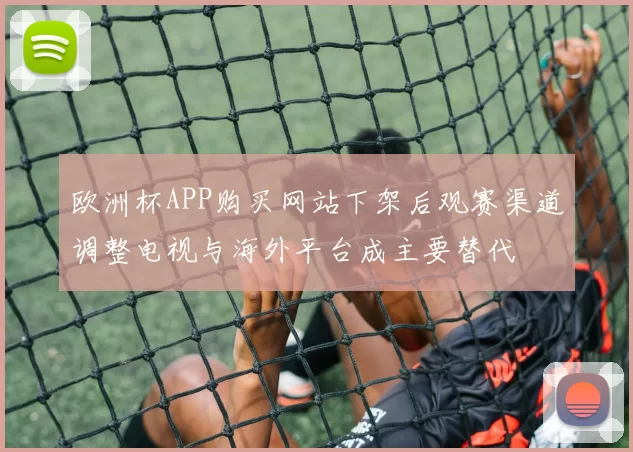 欧洲杯APP购买网站下架后观赛渠道调整电视与海外平台成主要替代